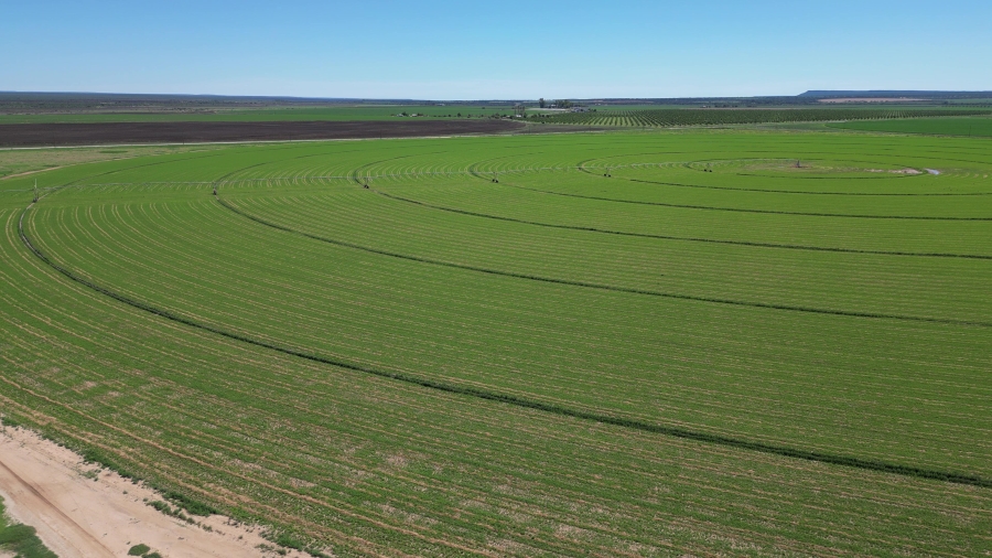 0 Bedroom Property for Sale in Douglas Rural Northern Cape